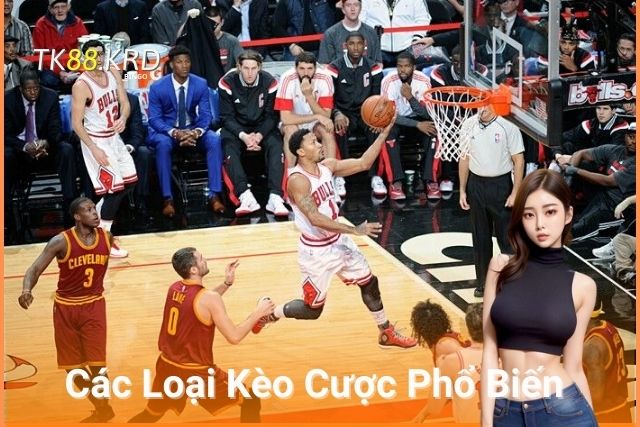 Trải Nghiệm Cá Cược Bóng Rổ TK88 Đỉnh Cao Hấp Dẫn Các Loại Kèo Cược Phổ Biến