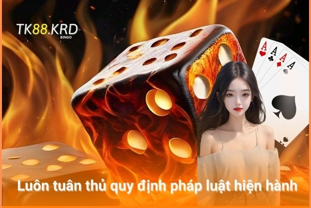 Chính Sách Bảo Mật An Toàn Công Bằng Minh Bạch Tại TK88 TK88 luôn tuân thủ các quy định pháp luật hiện hành