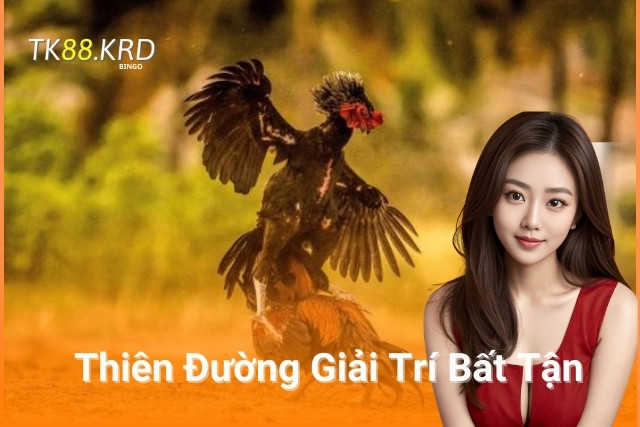 Gà Đá Sảnh Ws168 - Thiên Đường Giải Trí Cho Dân Chơi Đá Gà Gà Đá Sảnh Ws168 - Thiên Đường Giải Trí Bất Tận của TK88