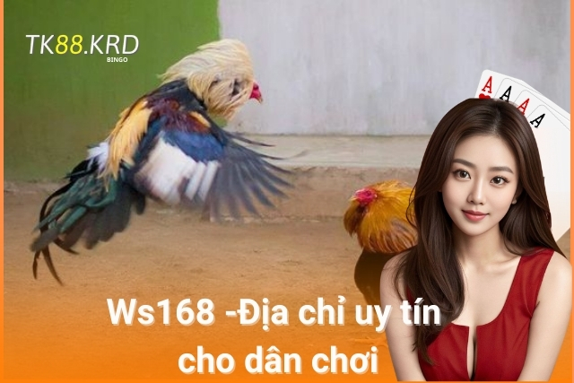 Gà Đá Sảnh Ws168 - Thiên Đường Giải Trí Cho Dân Chơi Đá Gà Sảnh Đá Gà Ws168 - địa chỉ uy tín cho dân chơi
