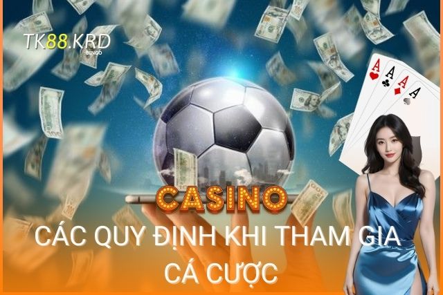 Điều Khoản và Điều Kiện TK88 - Quy Định Sử Dụng Dịch Vụ Chi Tiết Các quy định về đăng kí, nạp và rút tiền tại TK88